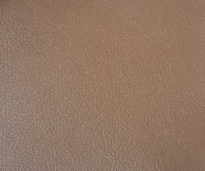 Classe1_Madras Camel